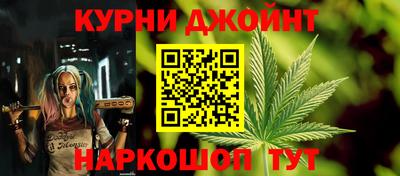 2c-b Кингисепп