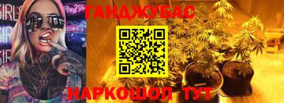 2c-b Кингисепп