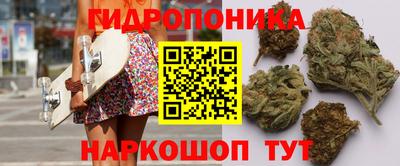 2c-b Кингисепп