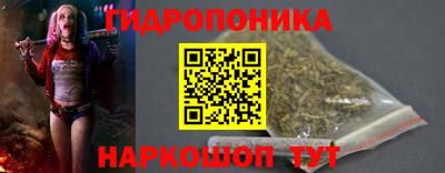 2c-b Кингисепп